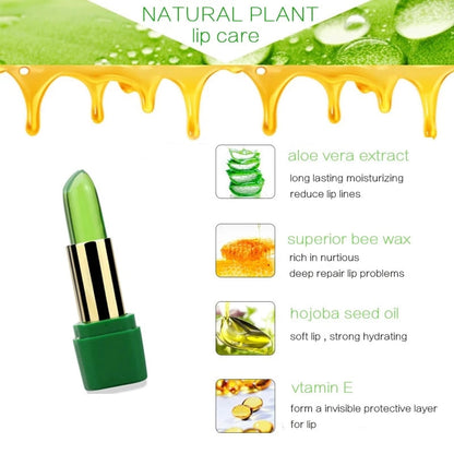 Aloe Vera Moisturizing Lip Balm - Harpmart.shop